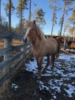 Elsa mars 2019 Elsa mars 2019